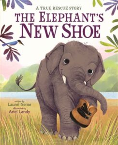 The Elephant's New Shoe book cover